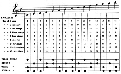 Bass Scale Chart